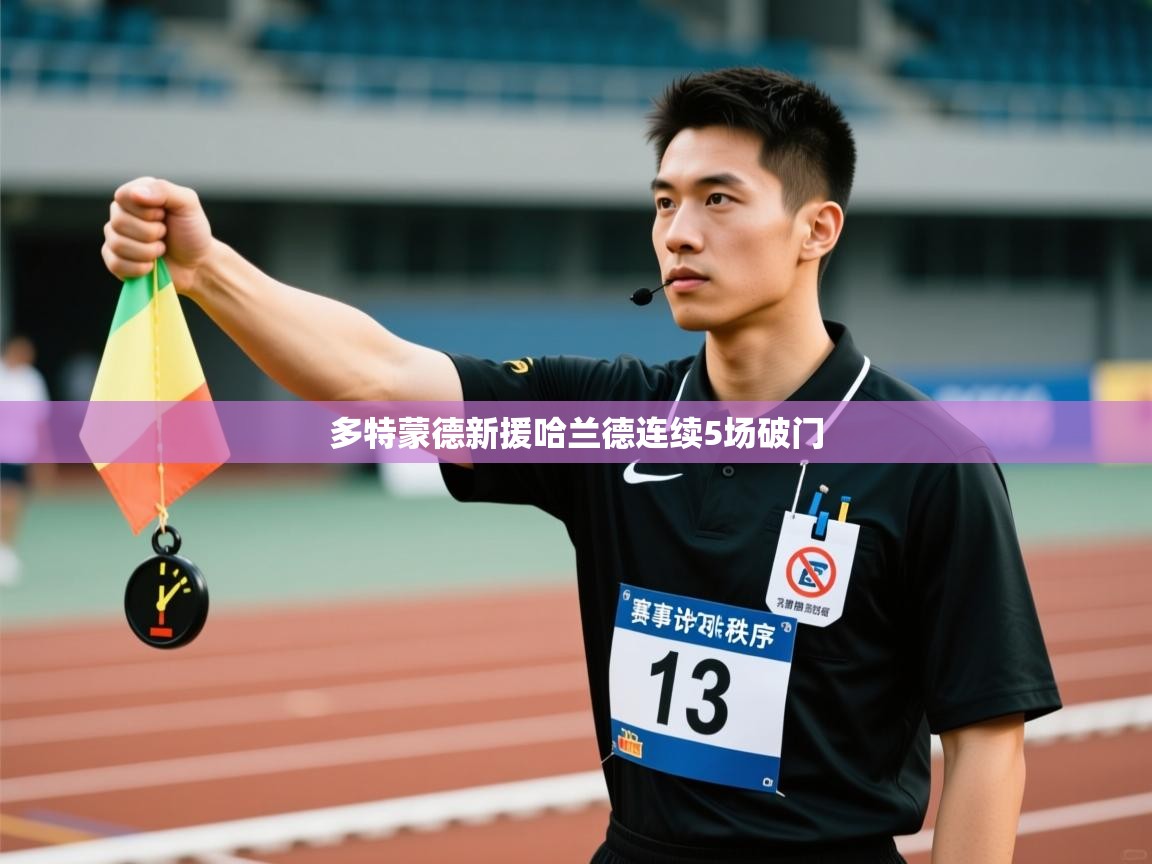 多特蒙德新援哈兰德连续5场破门  第2张