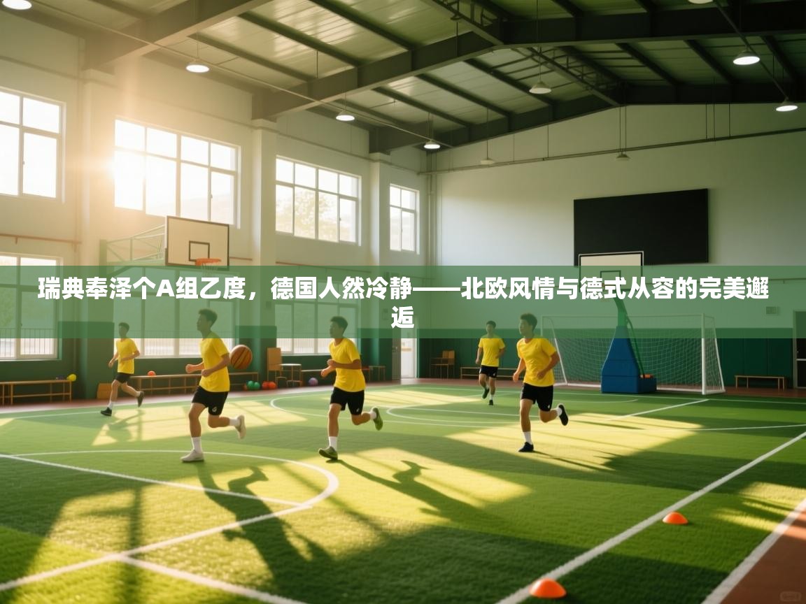 瑞典奉泽个A组乙度，德国人然冷静——北欧风情与德式从容的完美邂逅  第1张