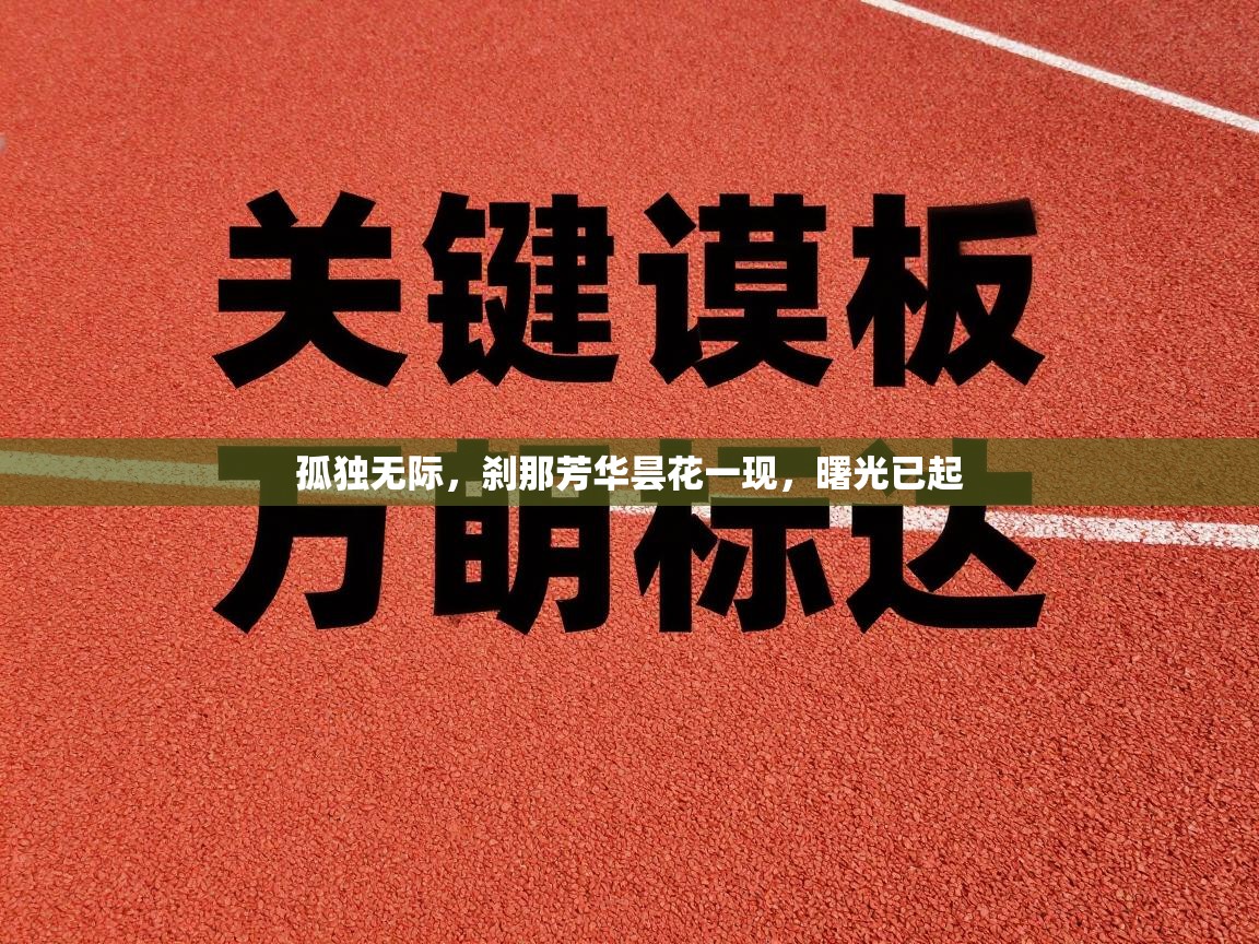 孤独无际,刹那芳华昙花一现,曙光已起 第2张