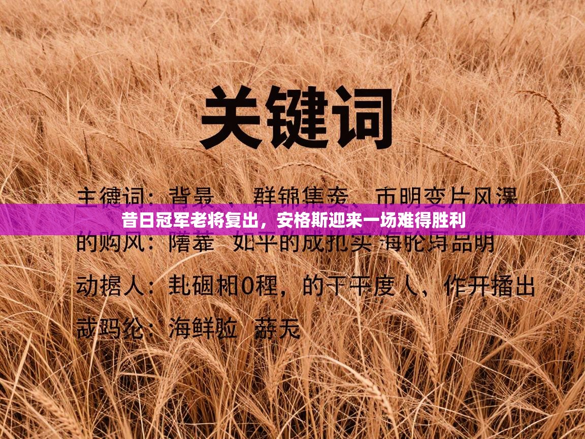 昔日冠军老将复出，安格斯迎来一场难得胜利  第2张