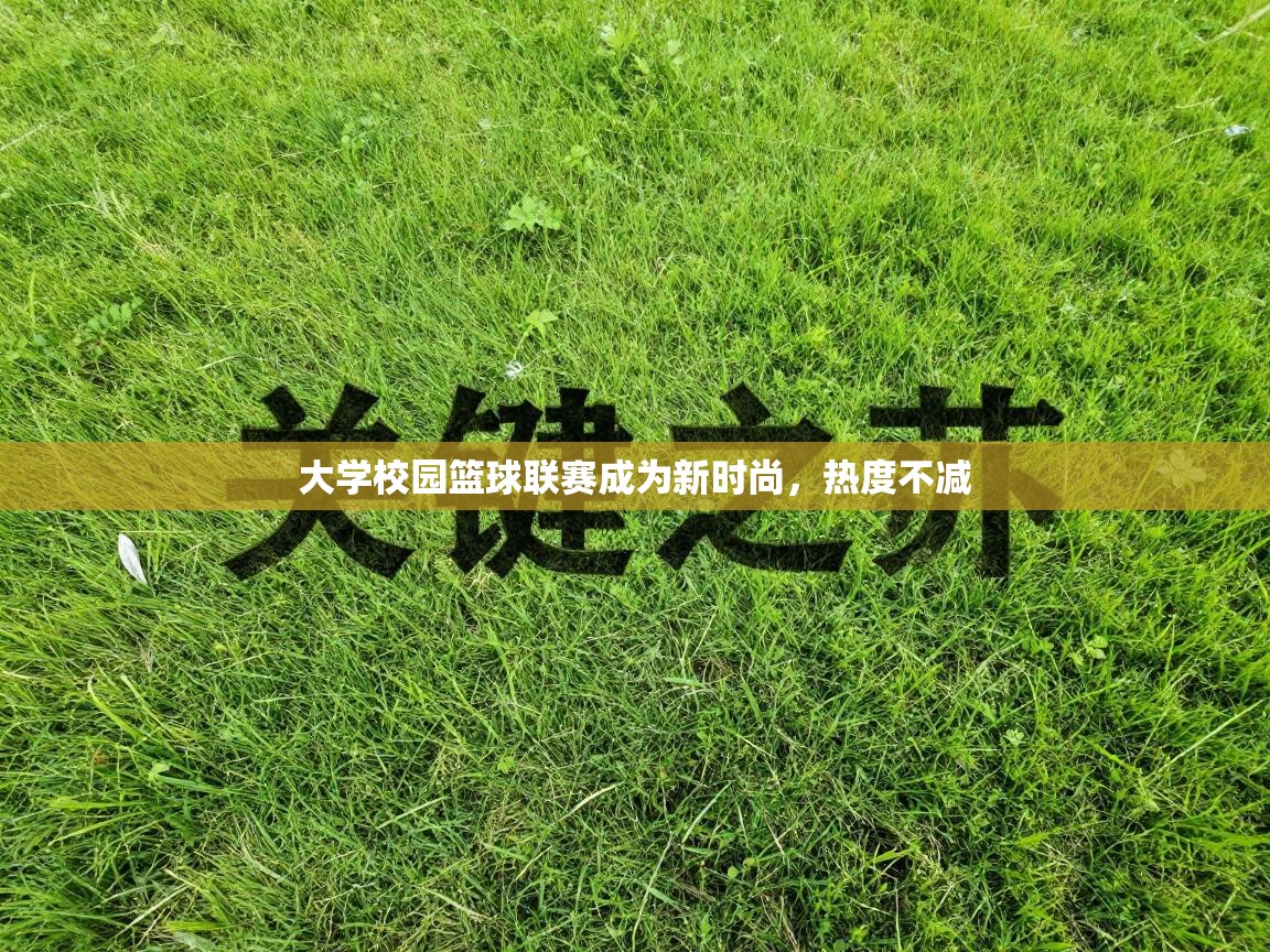 大学校园篮球联赛成为新时尚,热度不减 第1张